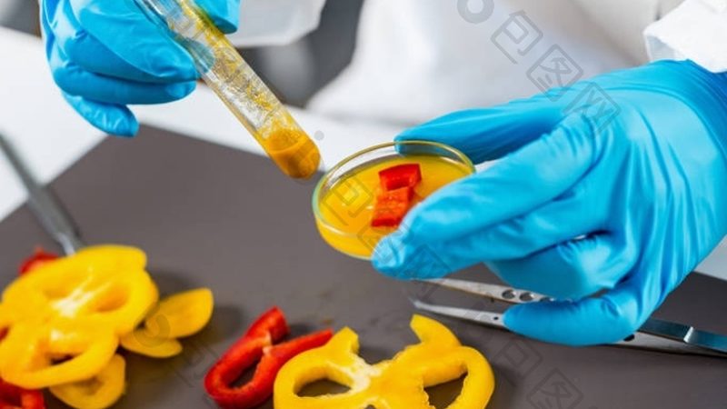 食品招商代理：性价比背后的考量因素**